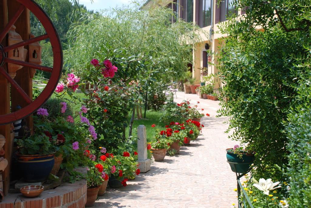 Villa Giulia Islaz Kültér fotó