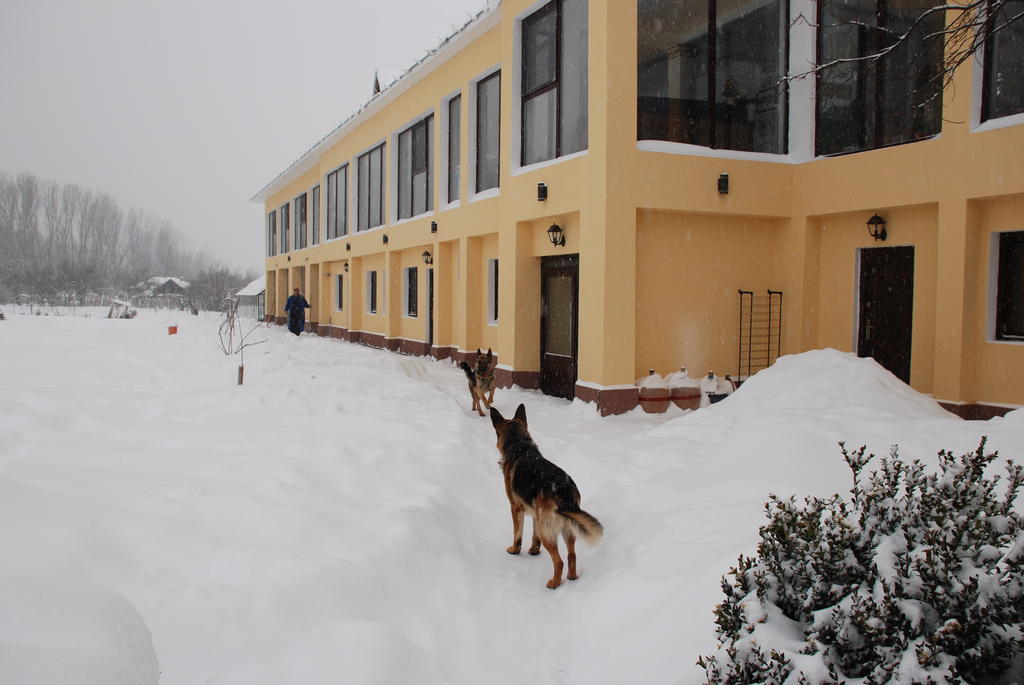 Villa Giulia Islaz Kültér fotó